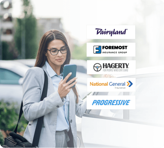 Image Title Image Alt Text