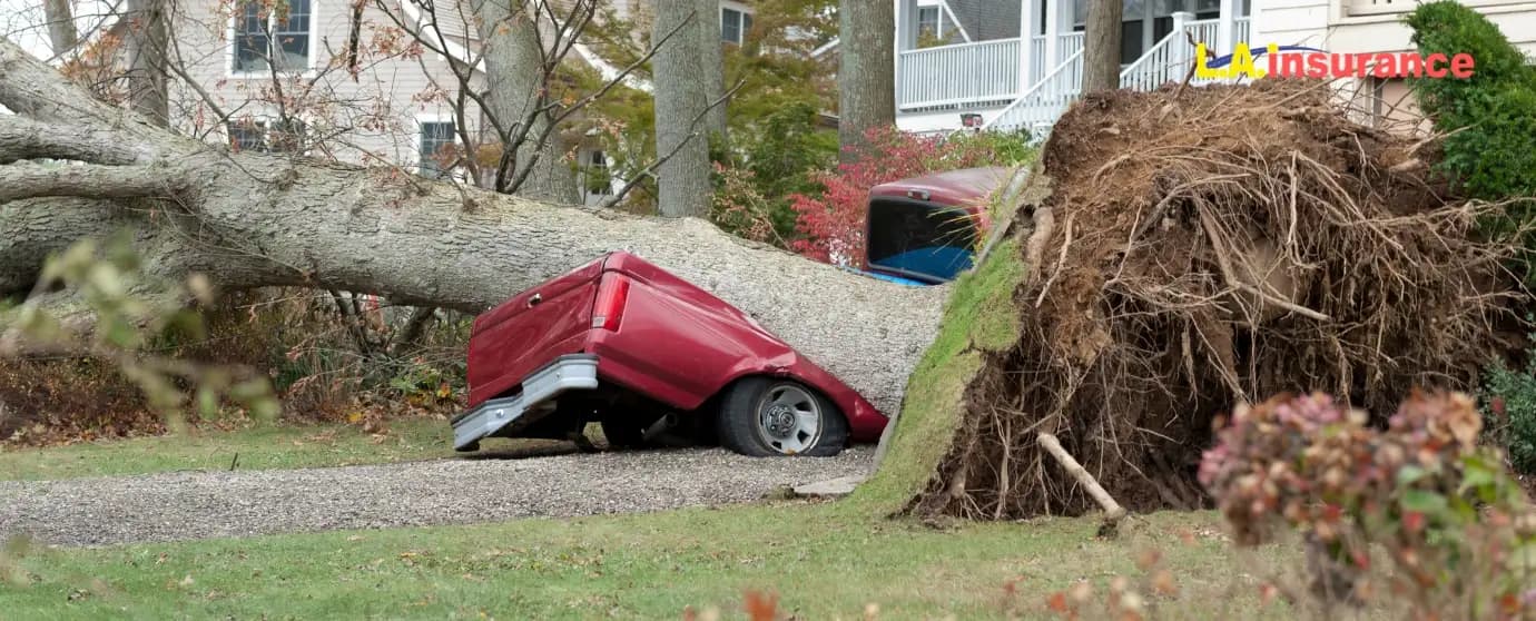 Does Auto Insurance Cover Hurricane Damage Storm and hurricane damage protection under auto insurance